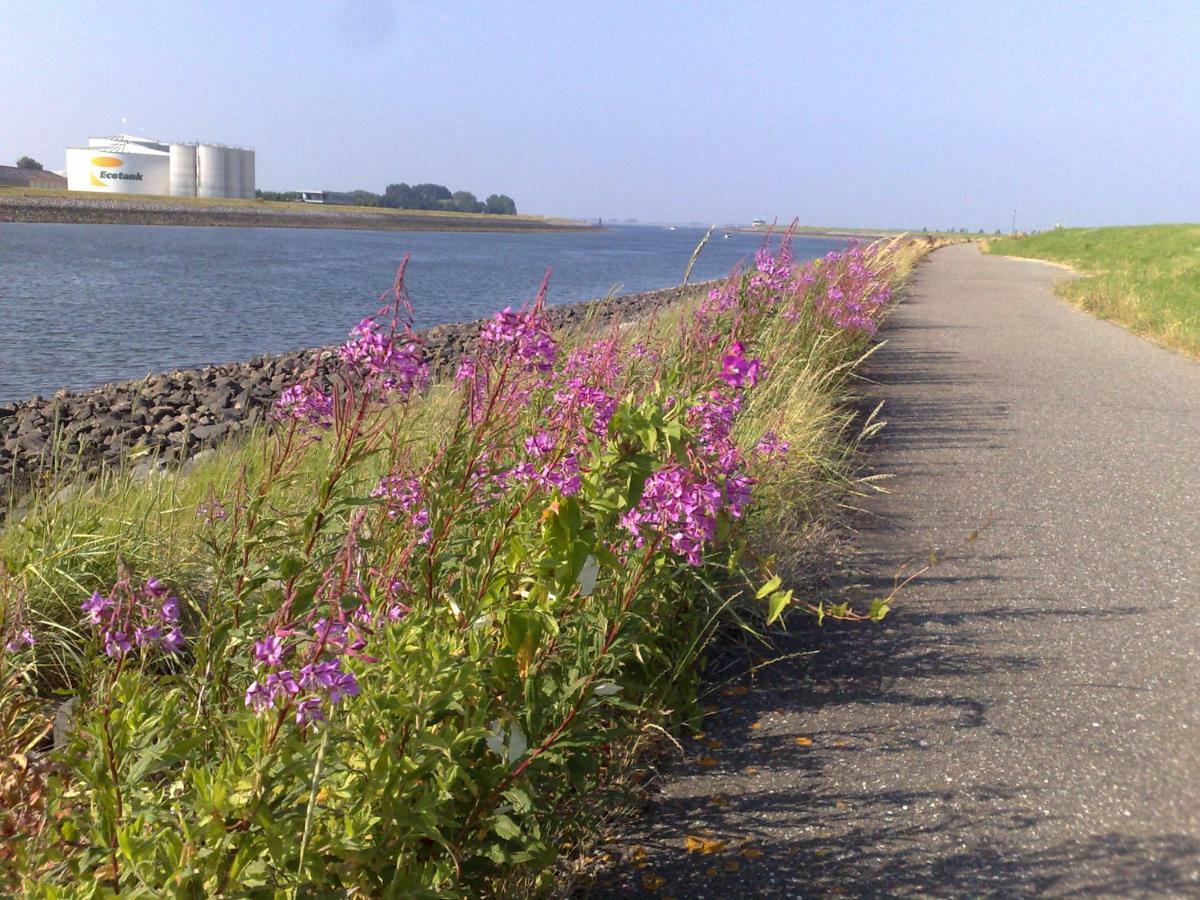 Middensluis Vakantiehuis Wemeldinge Eksteriør bilde